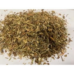 Skalnica Ziarenkowata Ziele Saxifraga Granulata 50 G